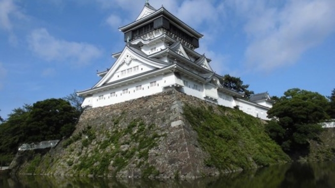 売り切れ御免！≪素泊まり≫【１４日前までのご予約】でお得に宿泊！加湿空気清浄機完備♪